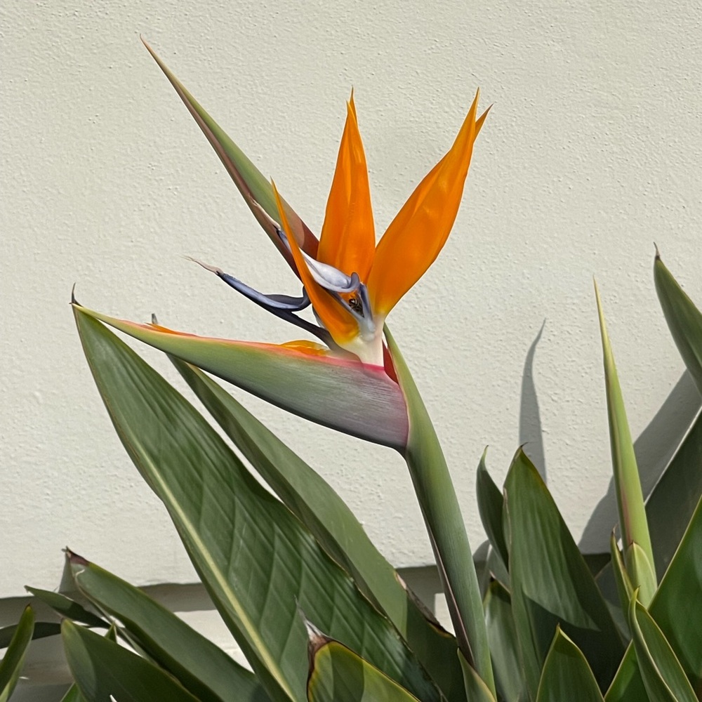 Meet your Posher, Claire